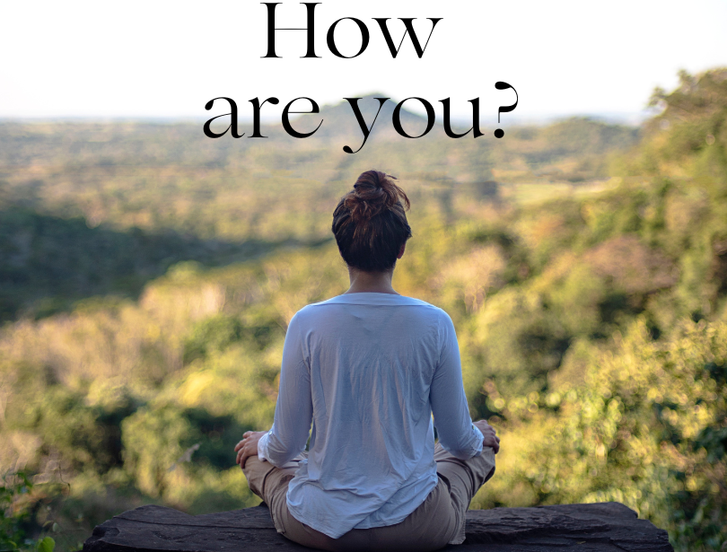 Green Minimalist Motivation Meditation Quote Instagram Post e1715252157643